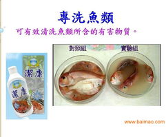 廈門臺灣洗滌用品潔康 優質家居清潔選擇與市場機遇